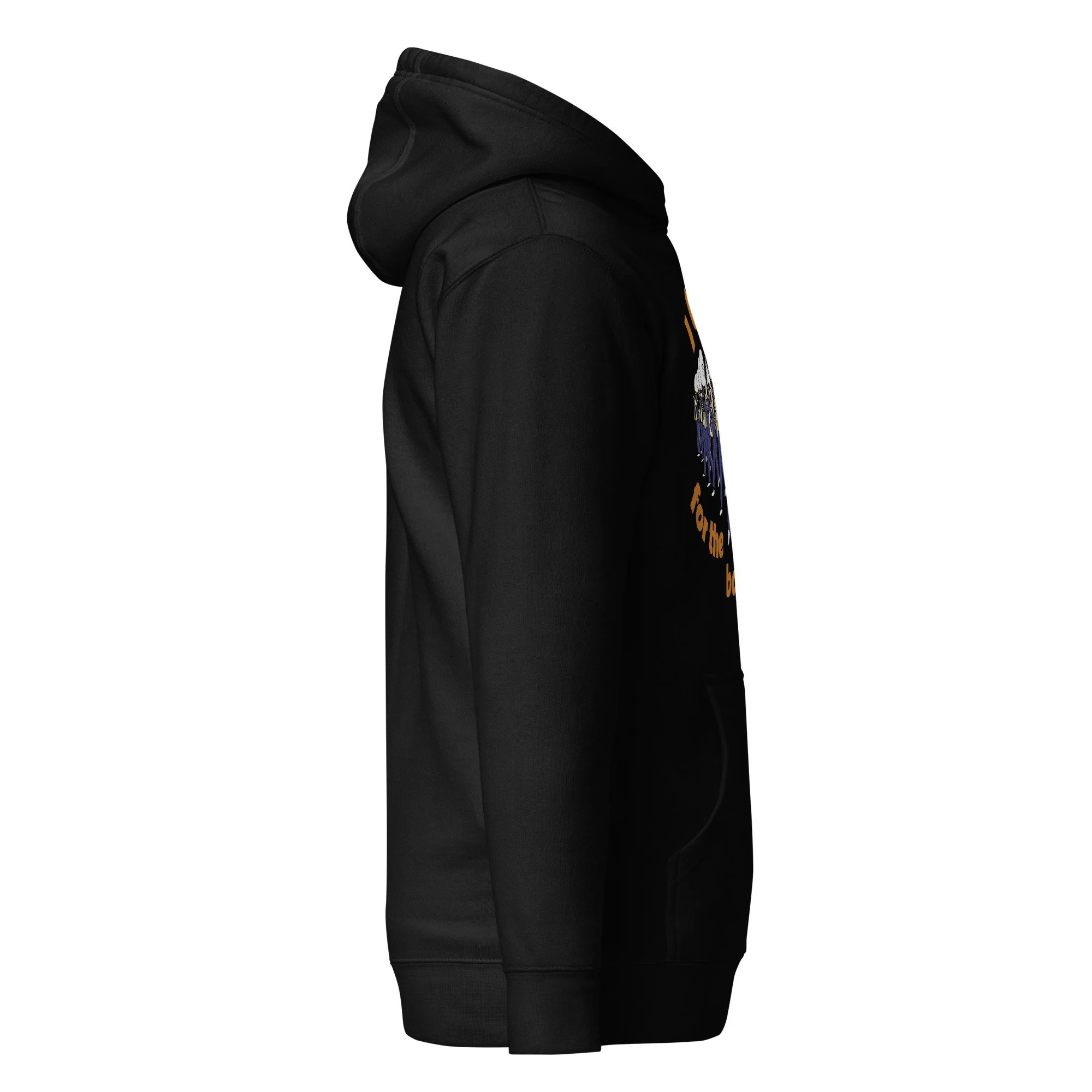 unisex-premium-pullover-hoodie-black-right-6a29e2579c21e.jpg
