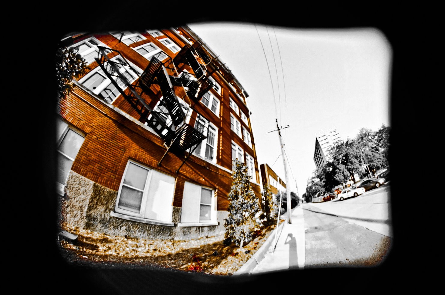 photo: Michael Bruner