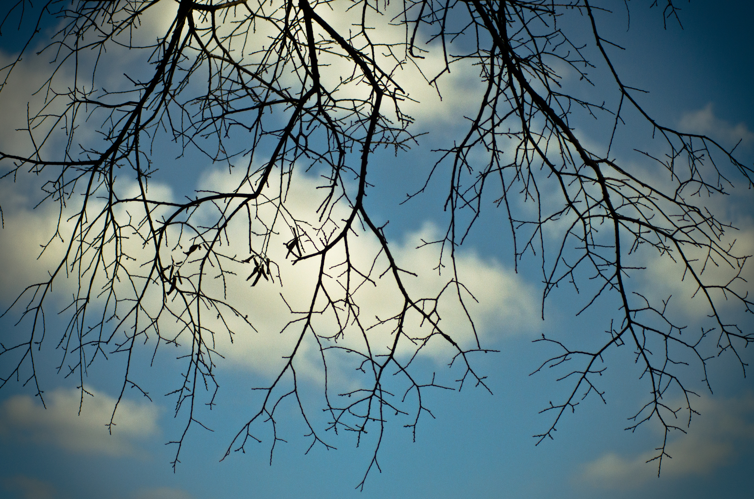 photo: Michael Bruner