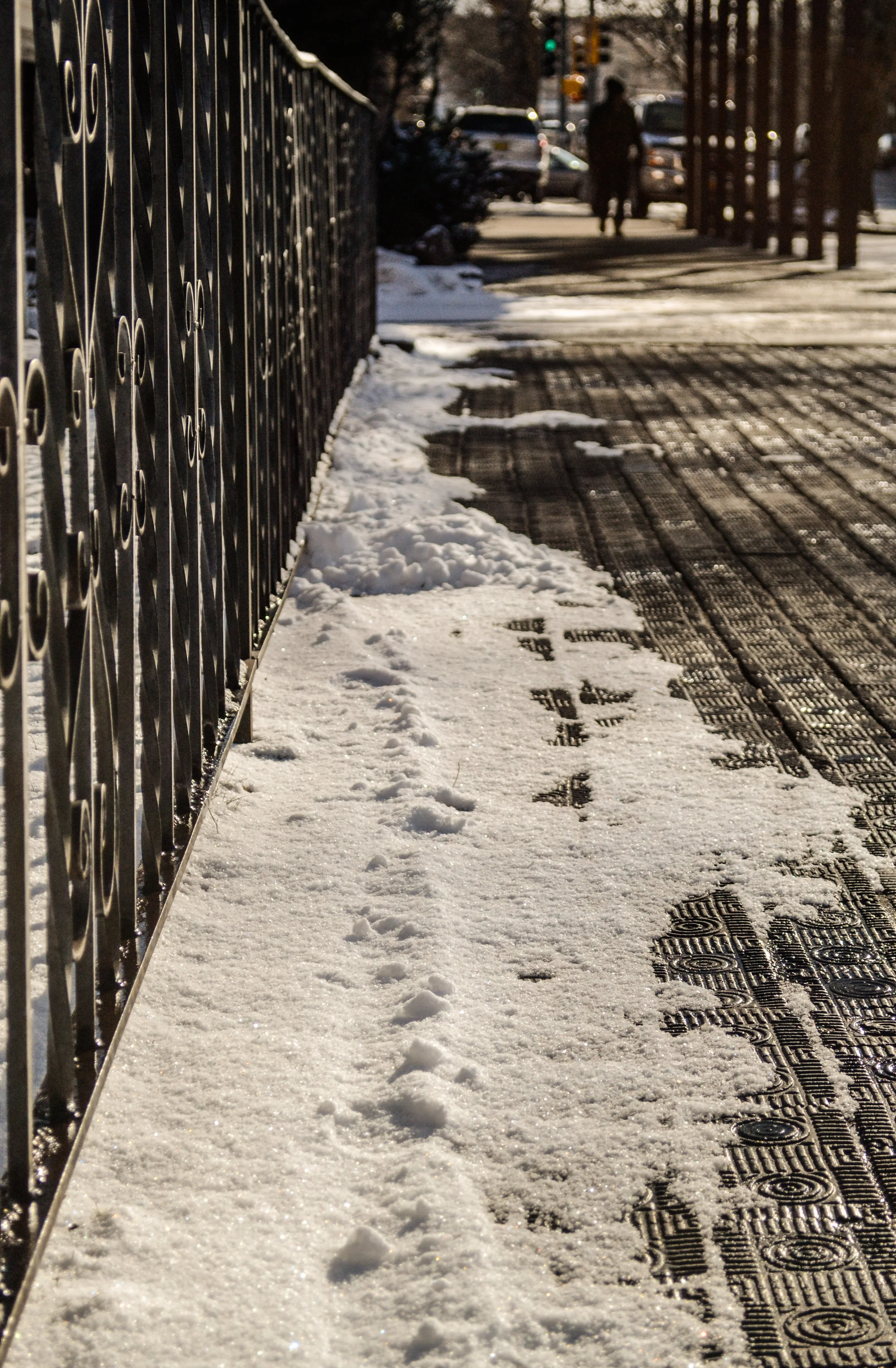 photo: Andy Bruner