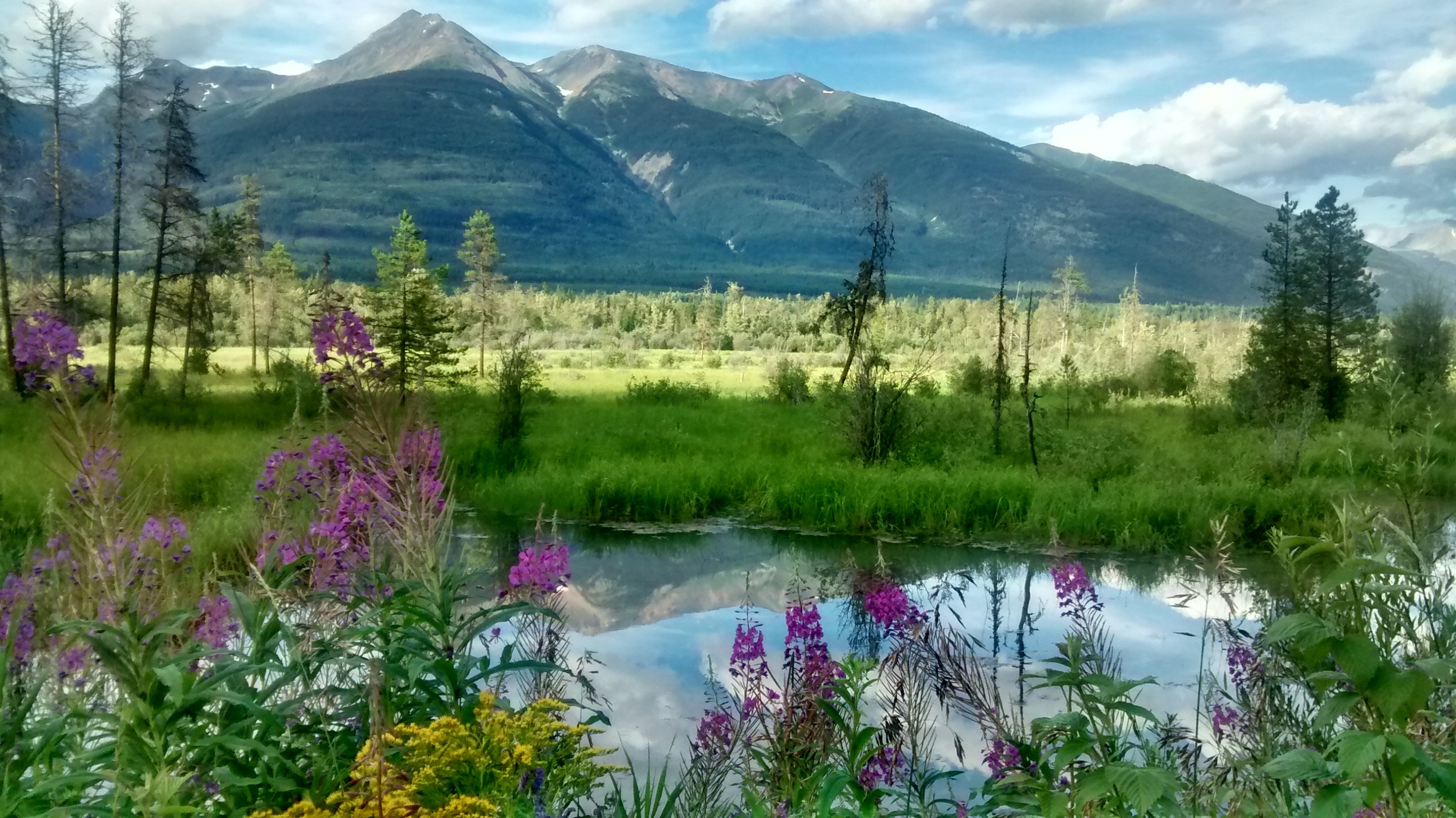the great gift of beauty, Alberta, Canada