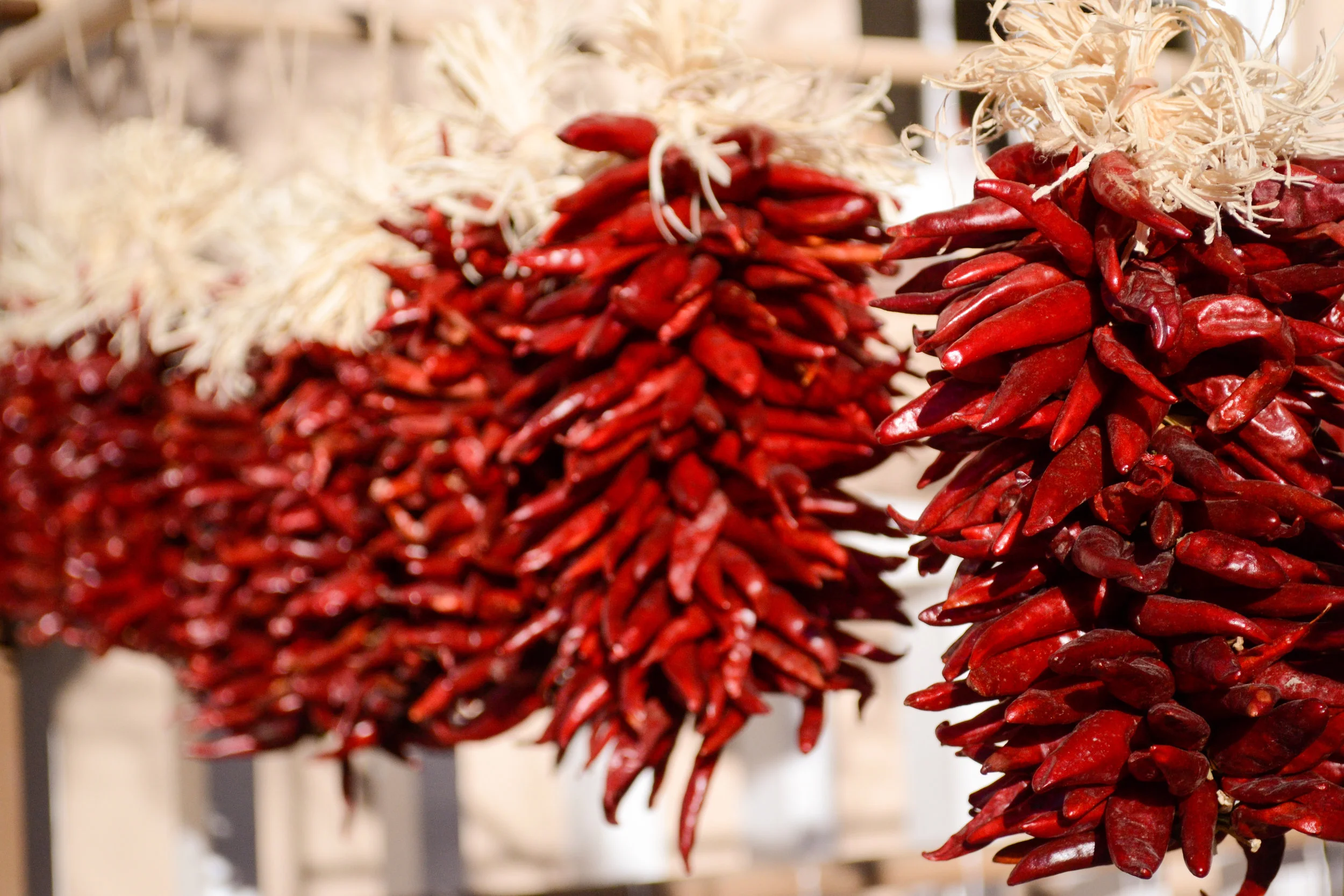 chili peppers, Santa Fe (photo: Andy Bruner)