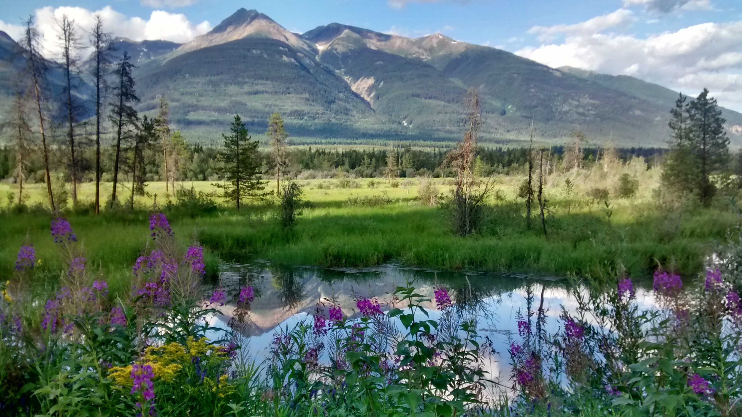 Oh, Canada. photo by me and my cell phone, last summer