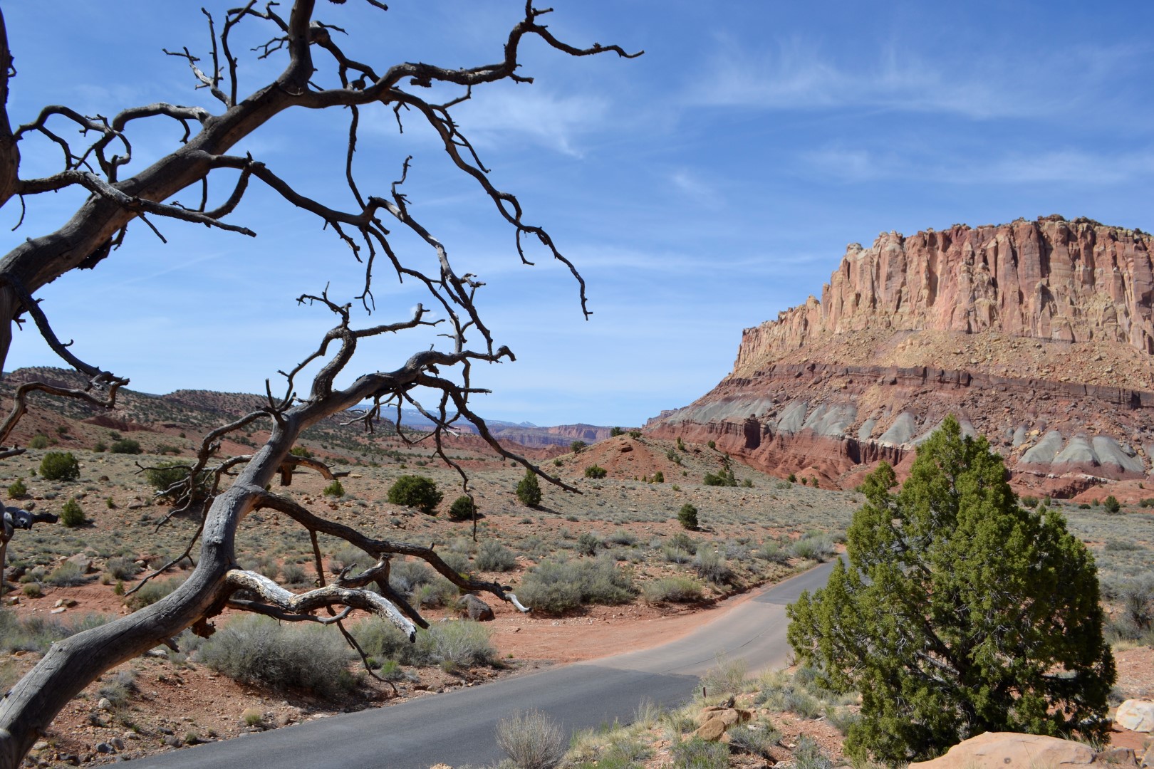 Capitol Reef National Park, photo: Andy Bruner