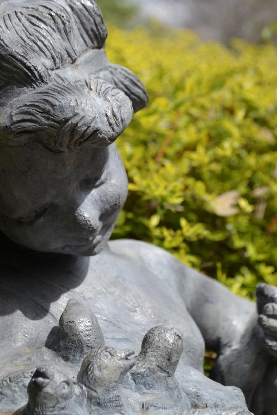 Fort Worth Botanic Garden, photo: Andy Bruner