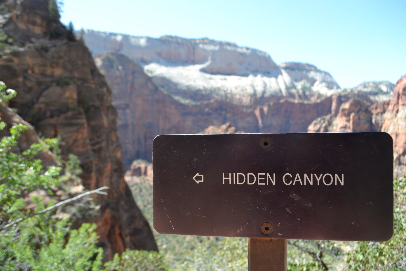 Zion National Park, photo: Andy Bruner