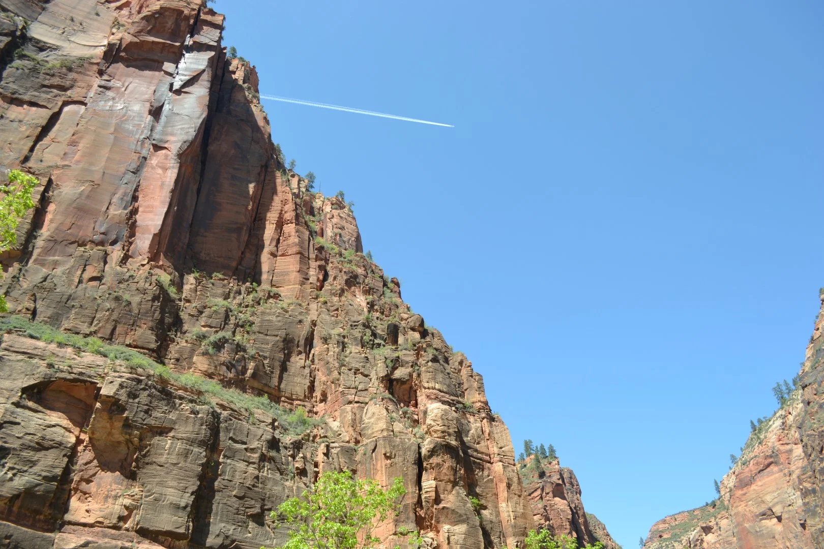 Zion National Park, photo: Andy Bruner