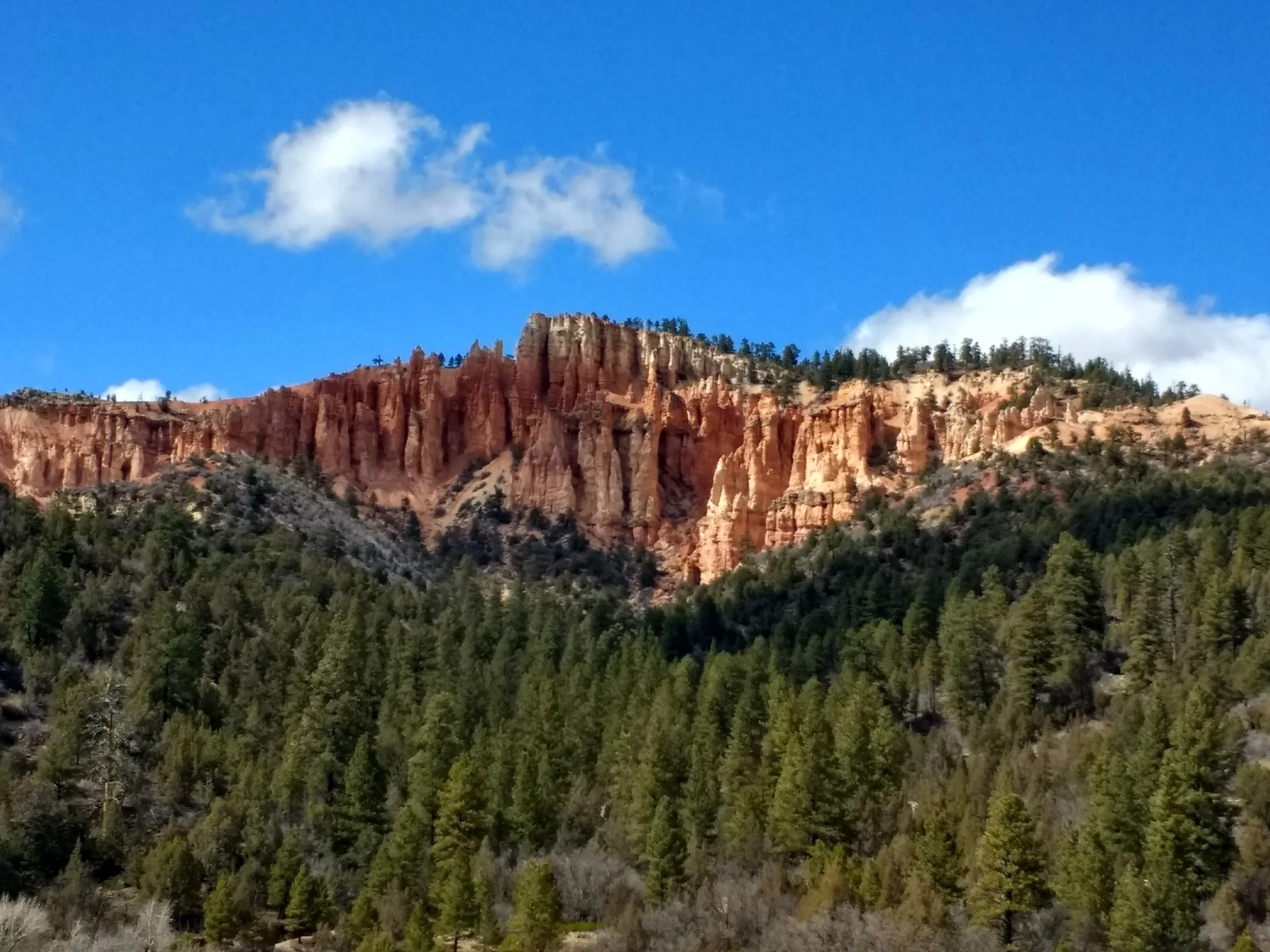 IMG_20180323_153541638_HDR.jpg