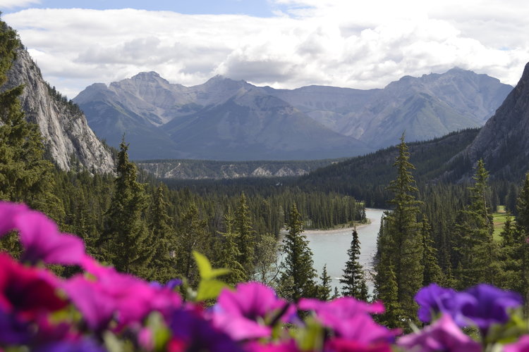 view from the back terrace of the Banff Springs Hotel