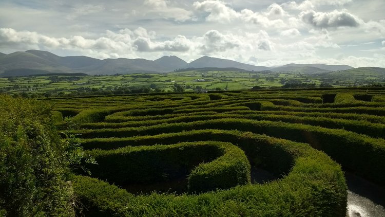 Peace Maze, Castlewellan