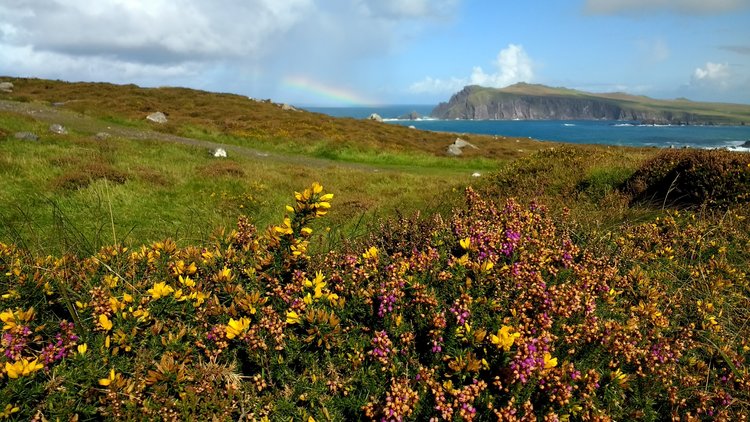 Slea Head Drive, Dingle