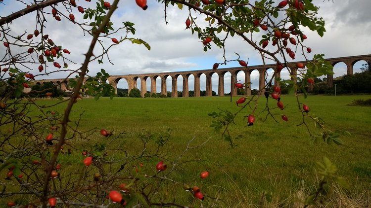 Glennfinnan Viaduct