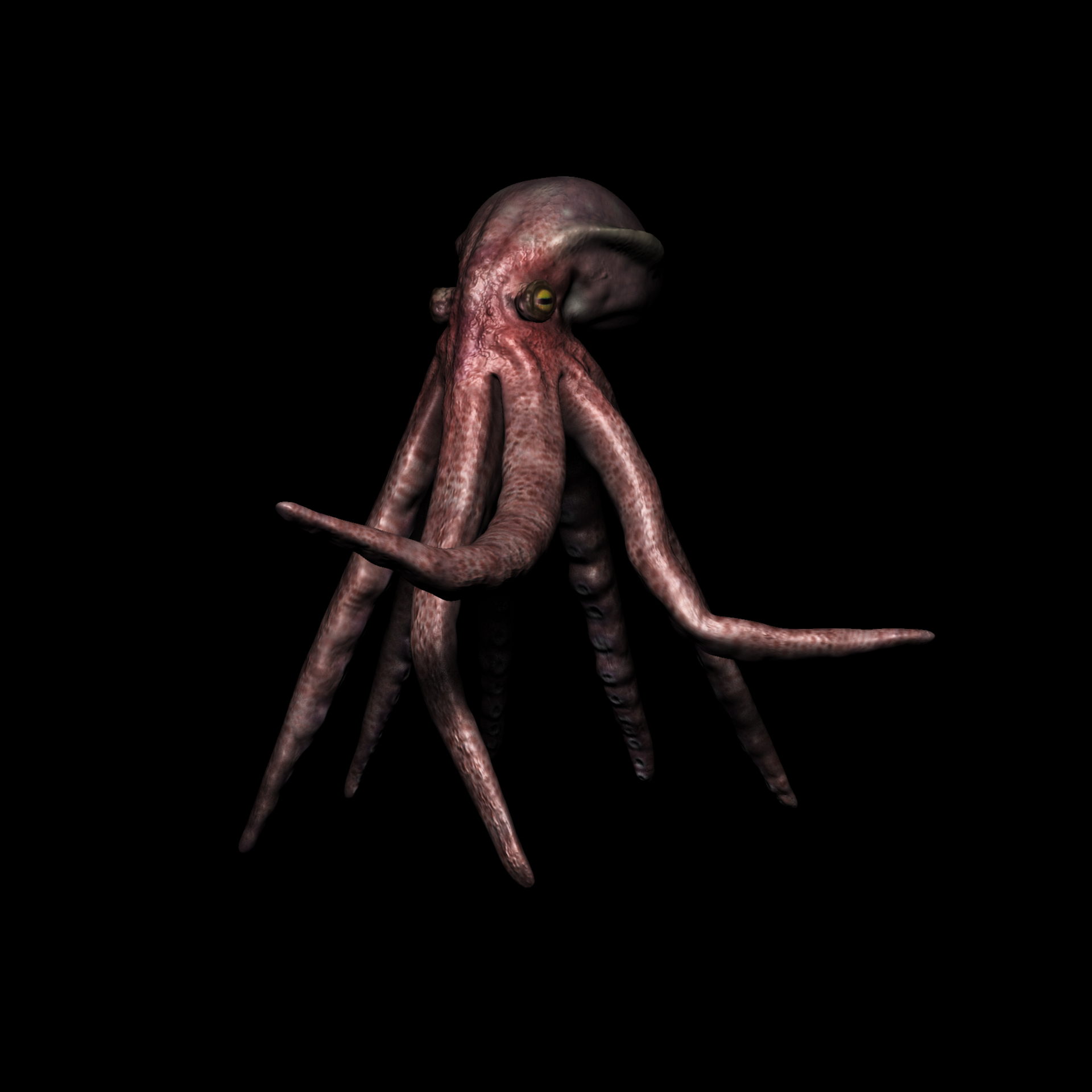 The mega octopus 
