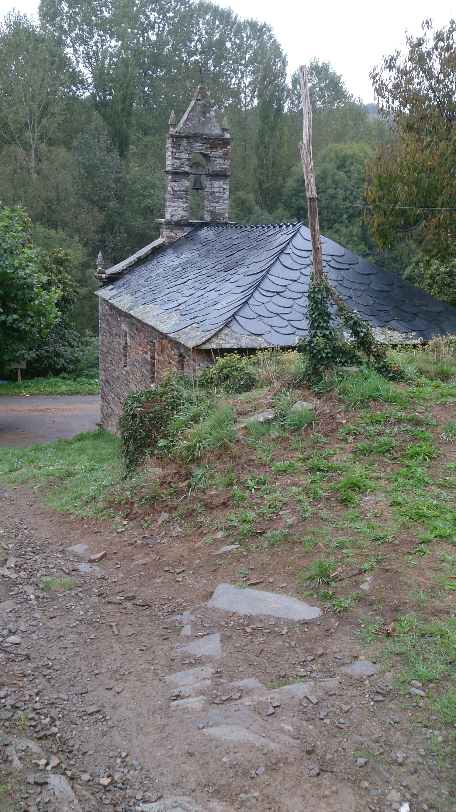 DSC_0500.jpg