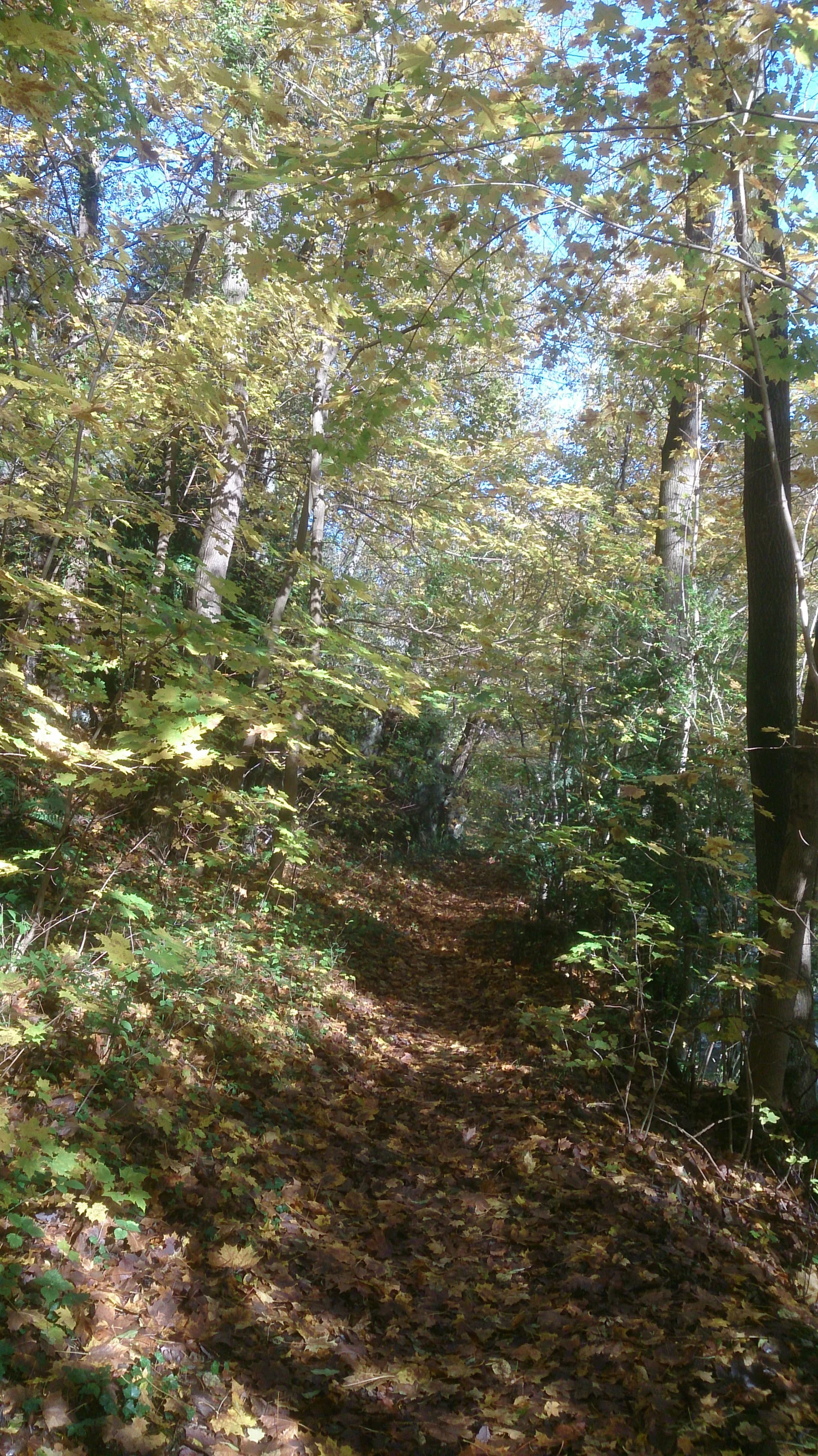 Autumn walk along the Gier