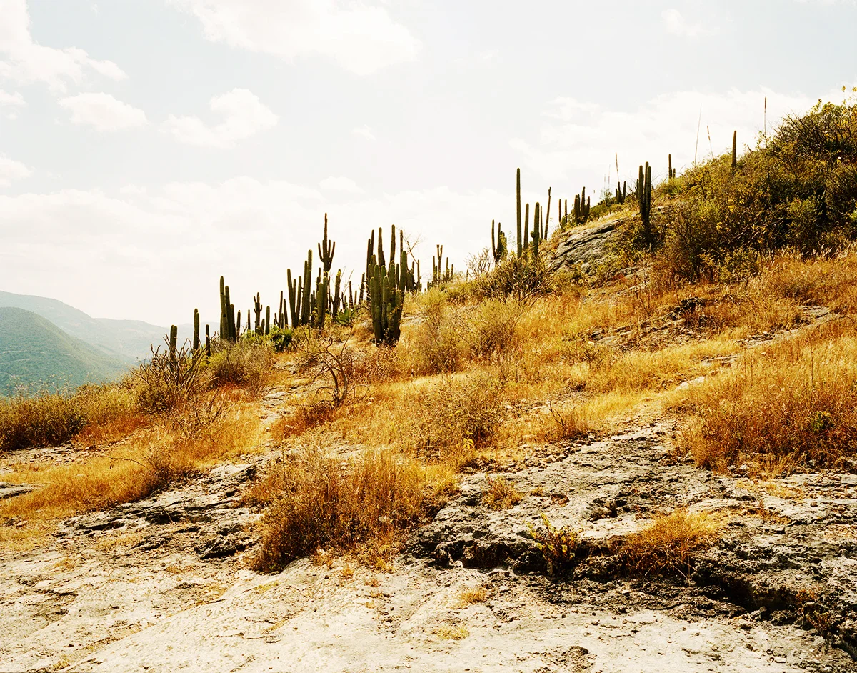 MEX_137.jpg