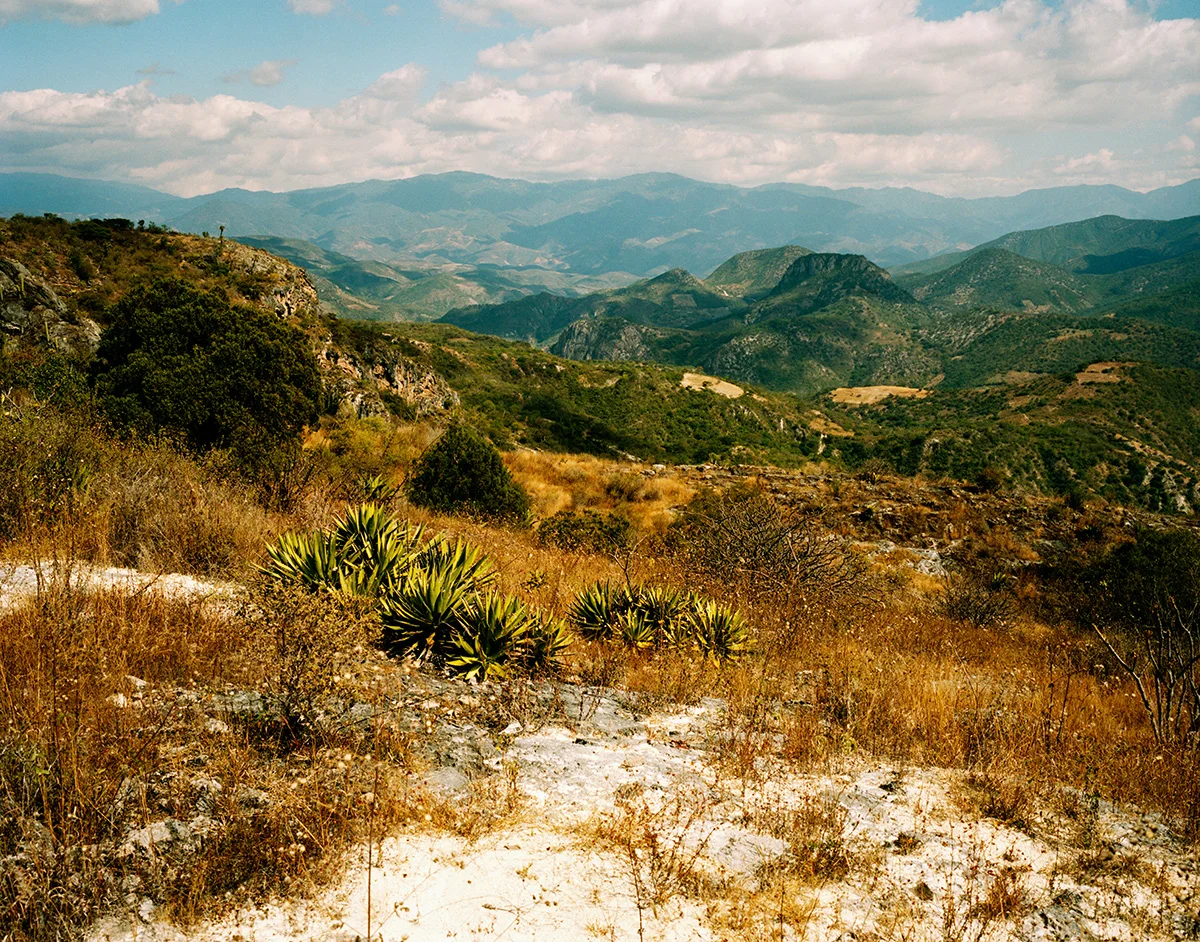 MEX_138.jpg