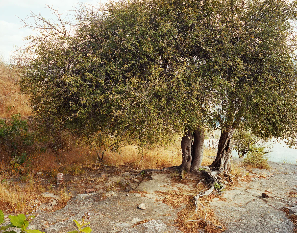 MEX_141.jpg