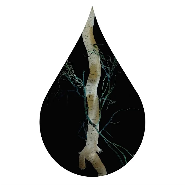 Teardrop 27