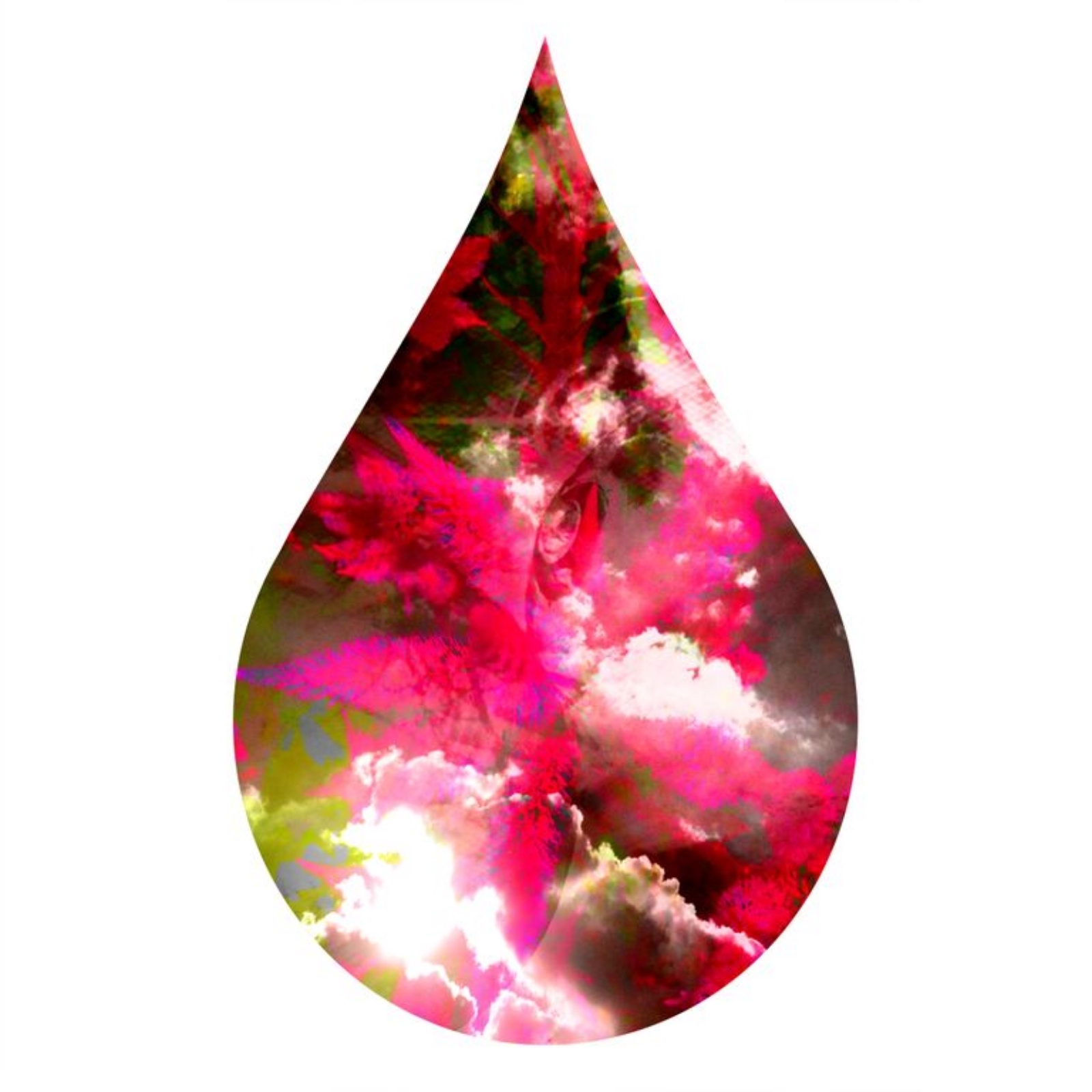 Teardrop 11