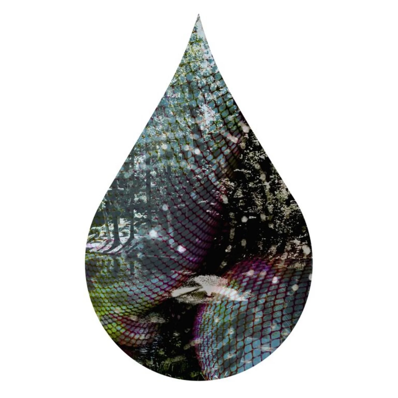 Teardrop 17