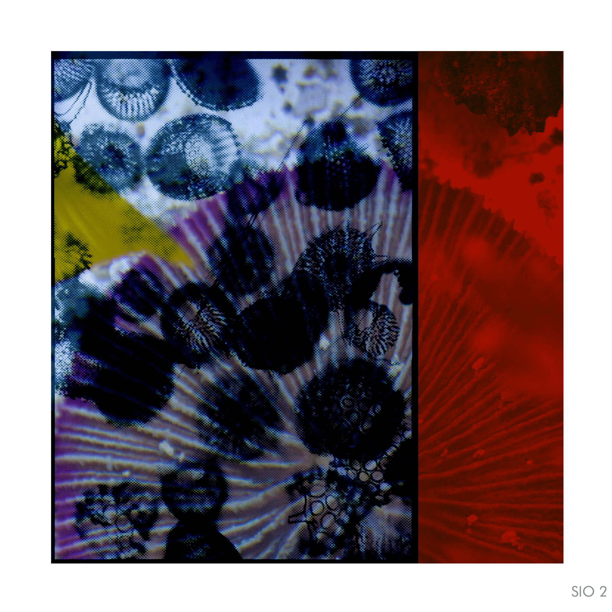 SIO 2
