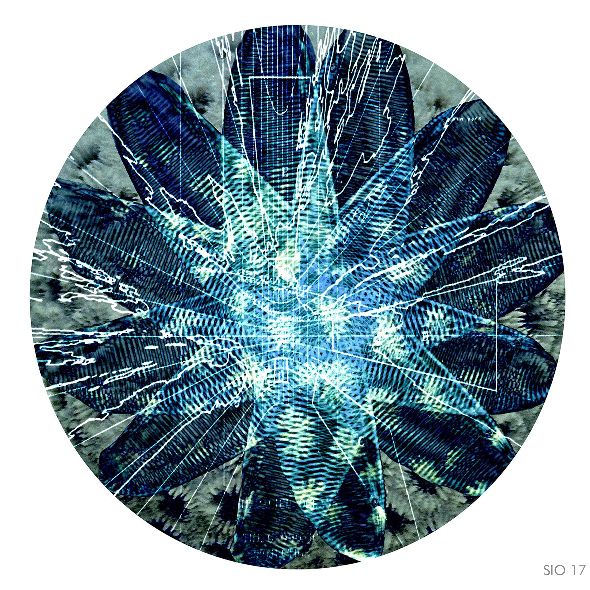 web_titled_sio17.gif