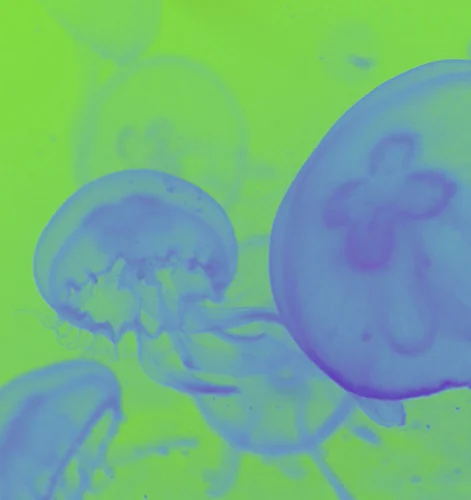 flourgreenblu.jpg