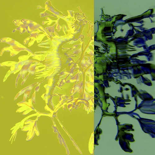 w1_34x34.jpg