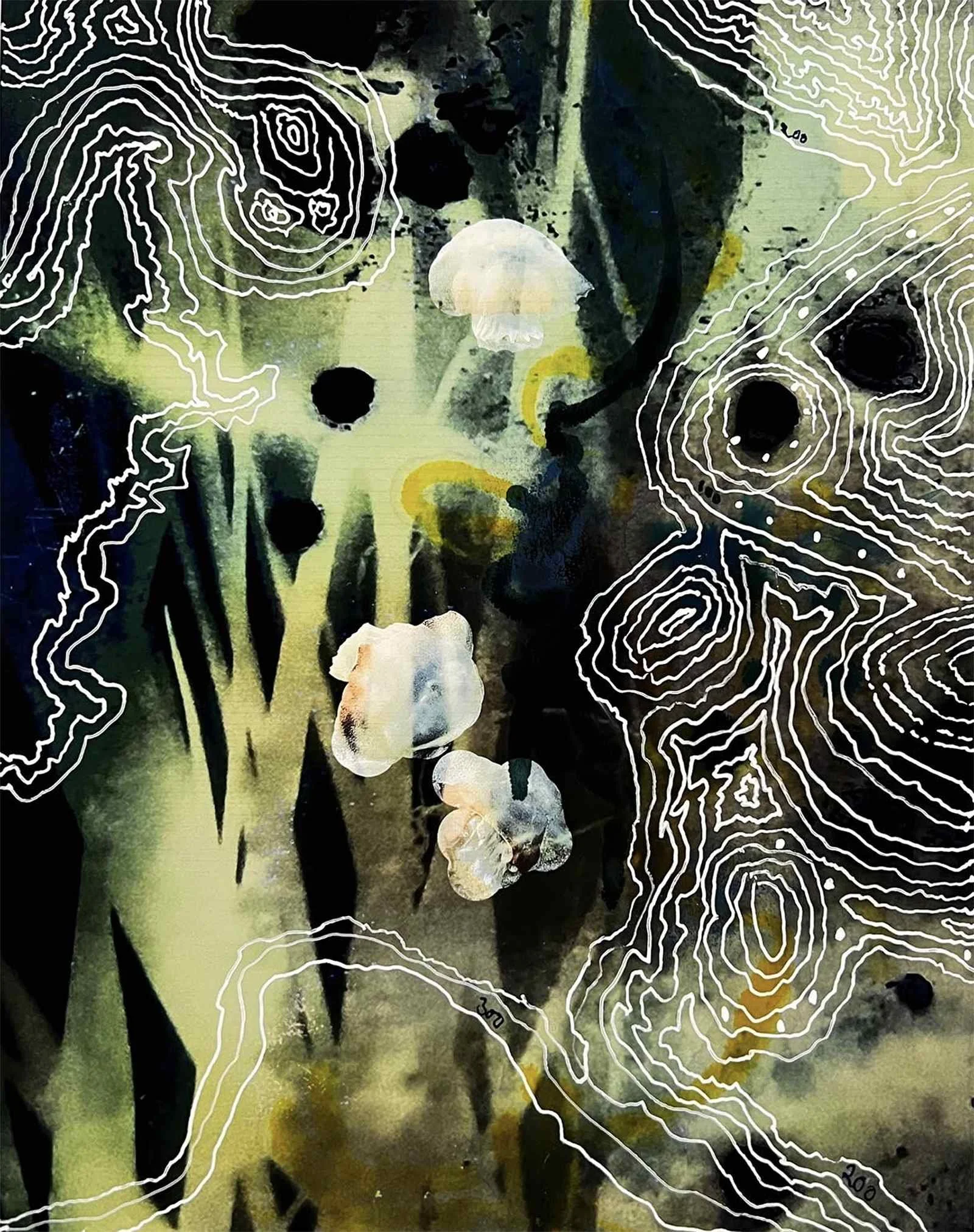 Intertidal #4