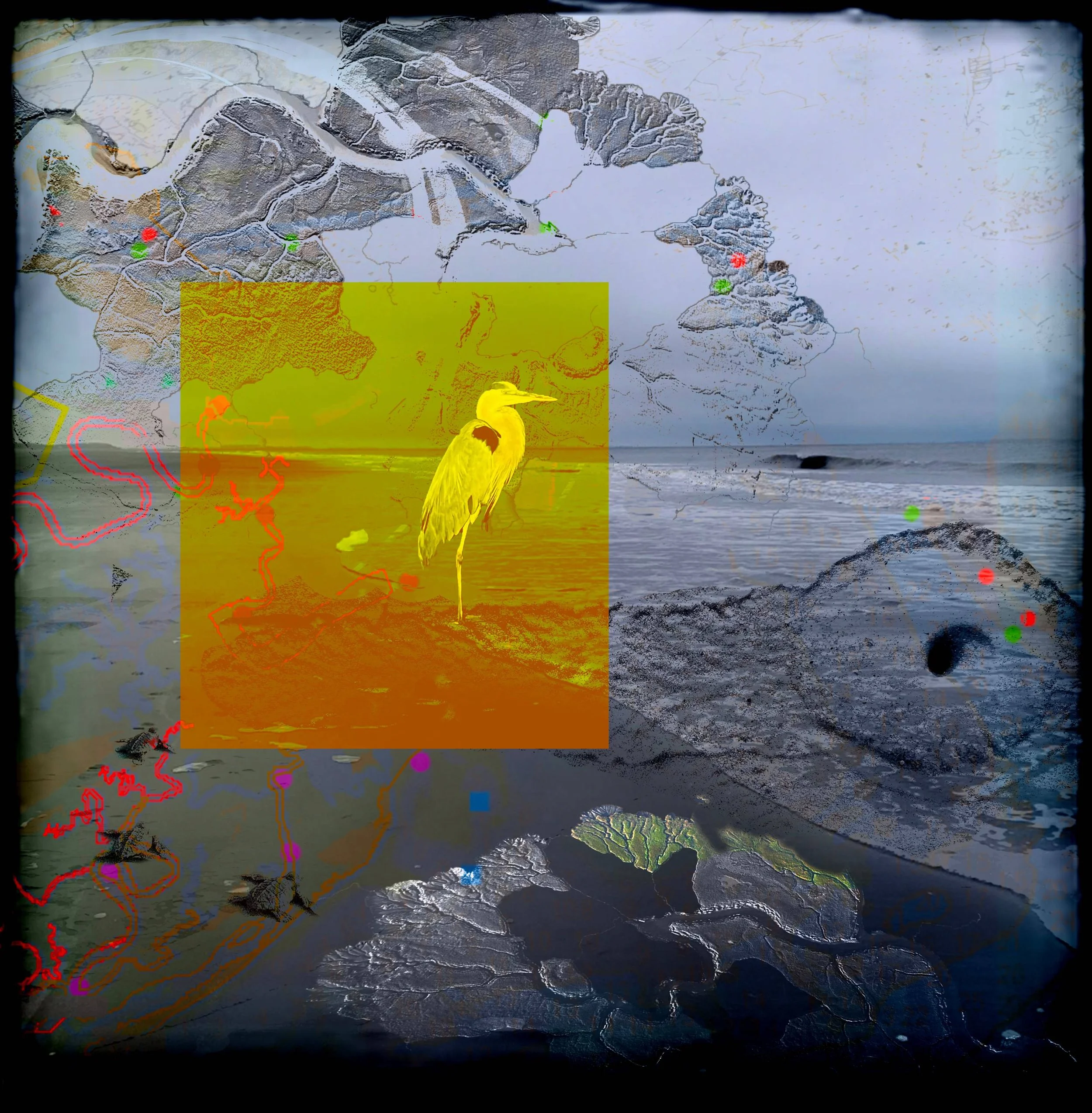 Intertidal #10