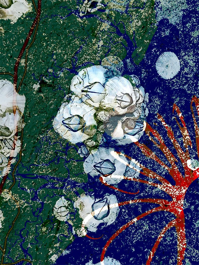 Intertidal with Case I