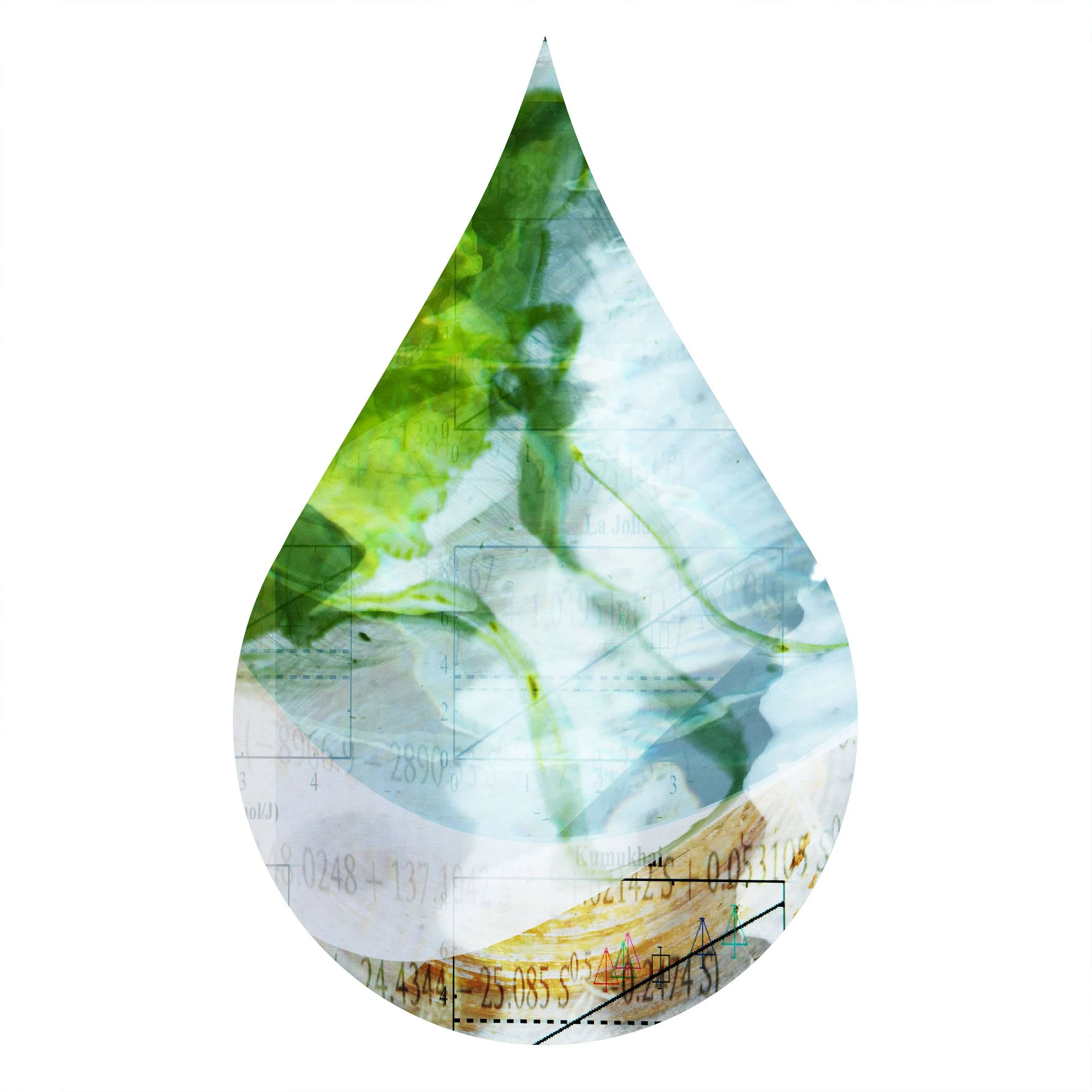 CCDrop-7