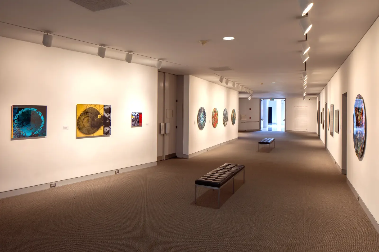 Dana Montlack's exhibition "Sea of Cortez" at the Museaum of Contemporary Art San Diego