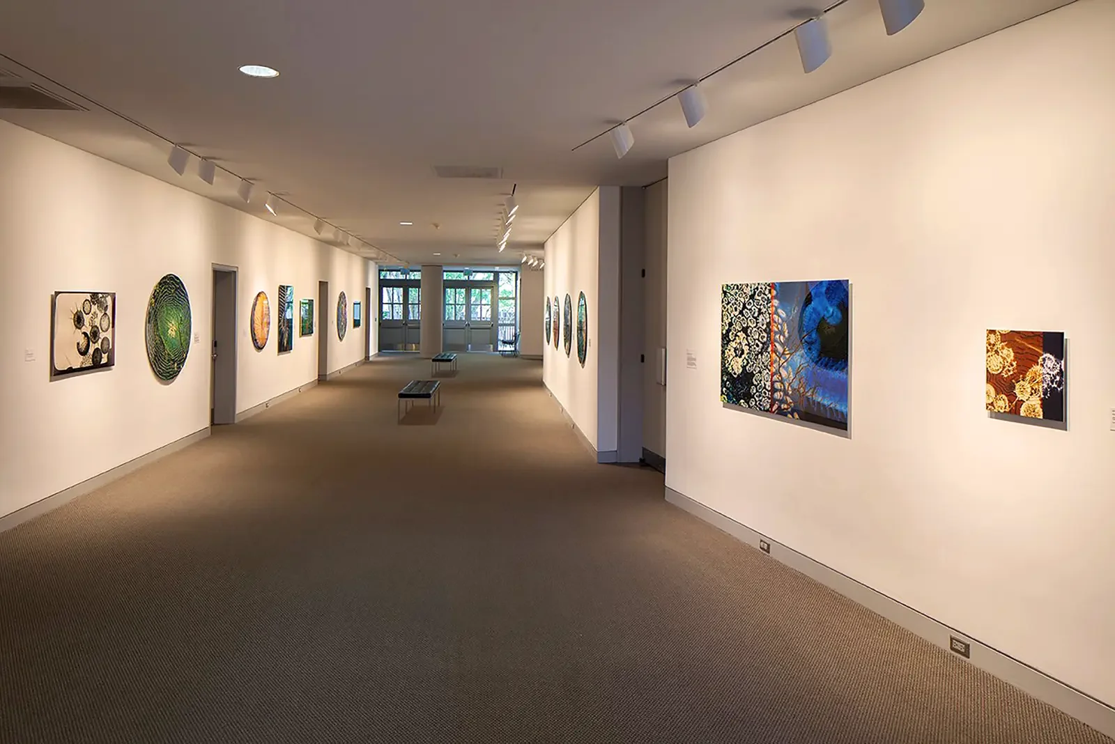 Dana Montlack's exhibition "Sea of Cortez" at the Museaum of Contemporary Art San Diego