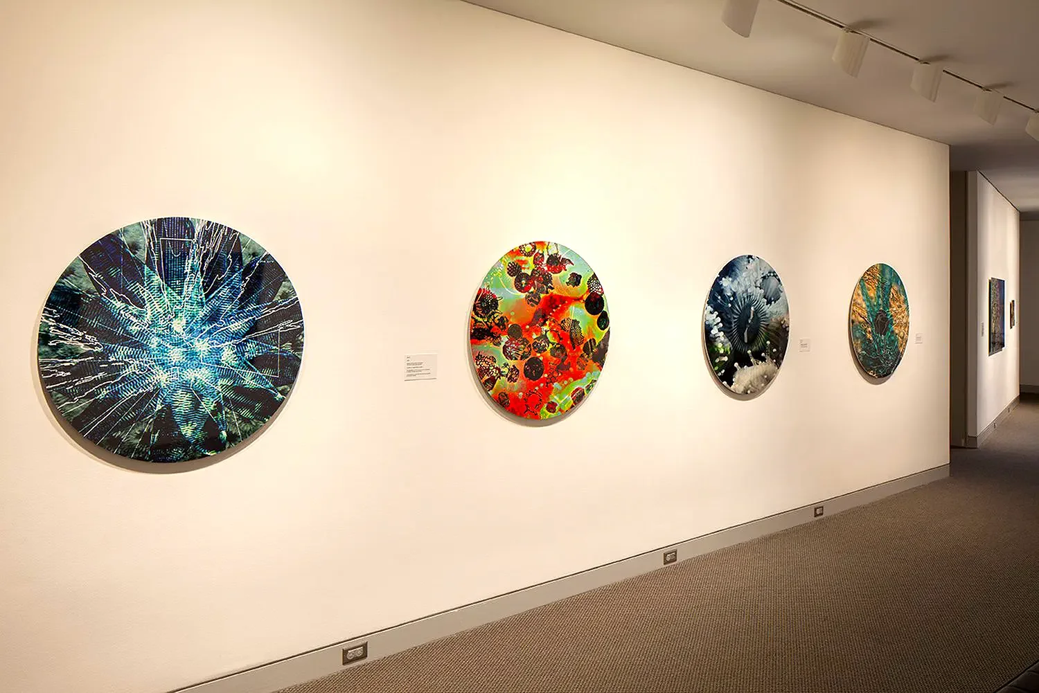 Dana Montlack's exhibition "Sea of Cortez" at the Museaum of Contemporary Art San Diego