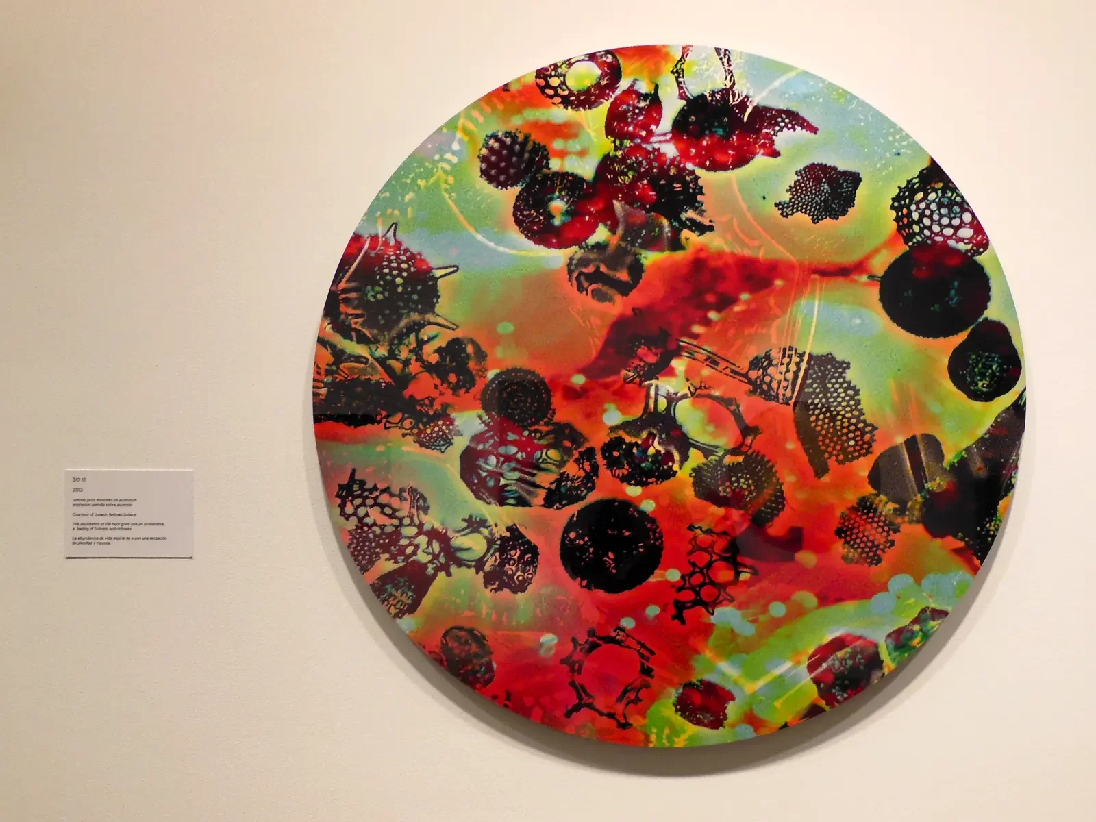 Dana Montlack's exhibition "Sea of Cortez" at the Museaum of Contemporary Art San Diego