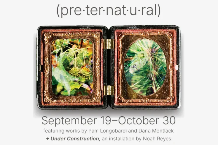 Preternatural - Exhibition with Artists Dana Montlack &amp; Pam Longobardi