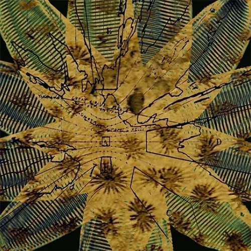Sea of Cortez - Tondos