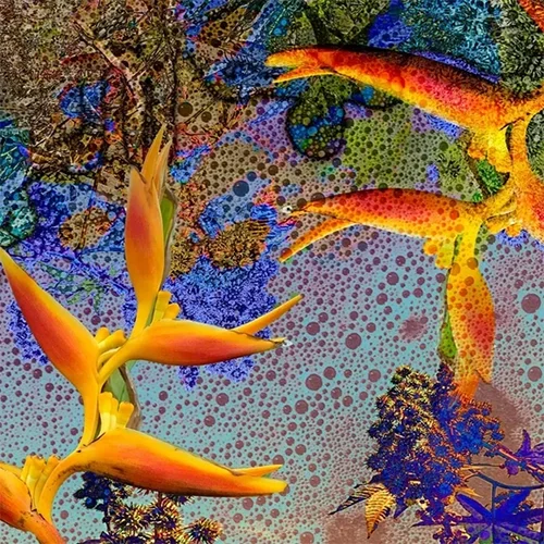 Changing Climates - Droplets