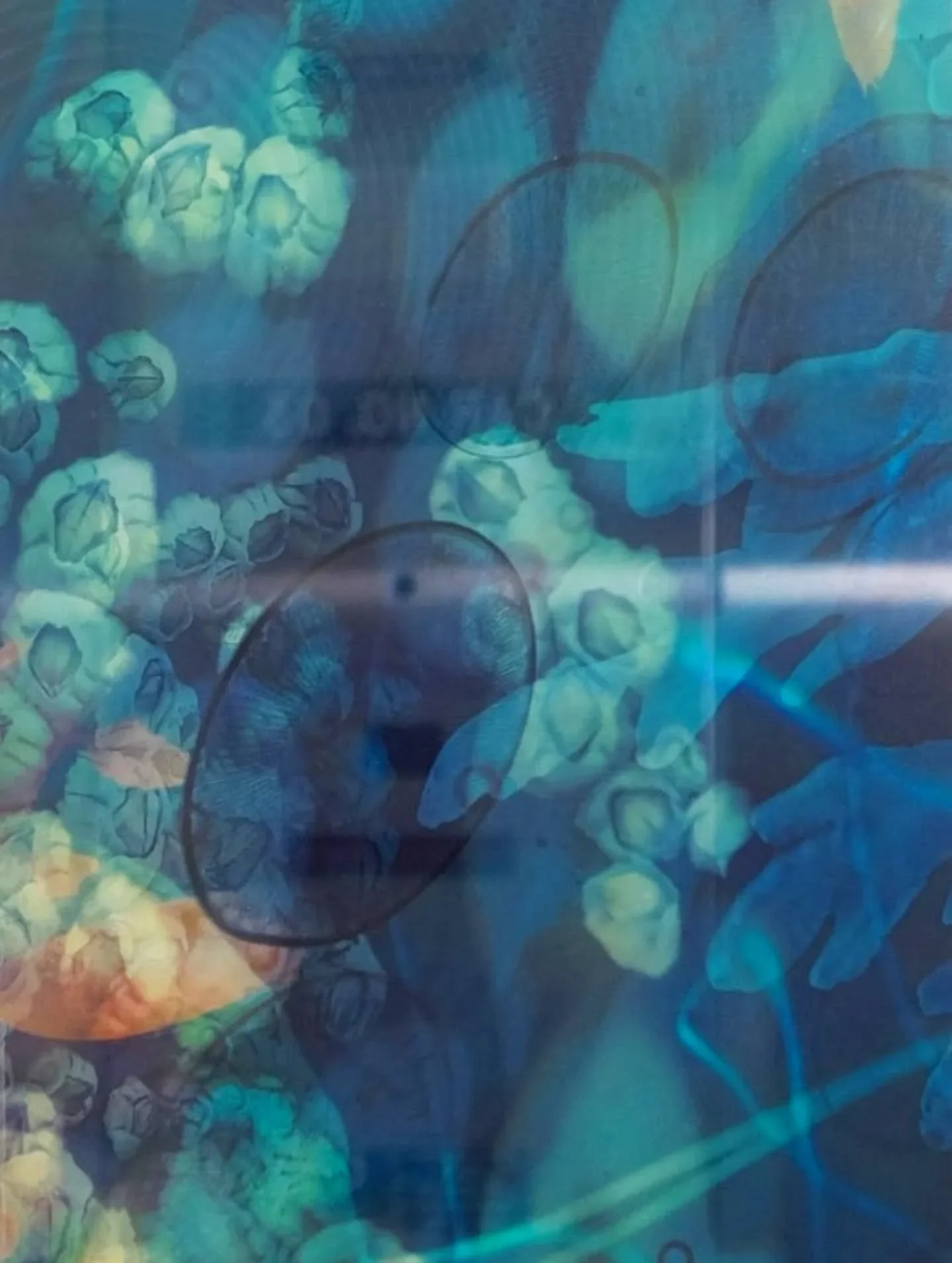 In the elevators at American Assets Trust at Torrey Point, I collaborated with Betsy K. Schulz to bring art into motion. Here we have brought a transformative installation to this corporate space. 

Contact me via the email in my bio to discuss which