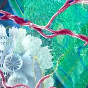 Changing Climates - Droplets - Gallery - Dana Montlack