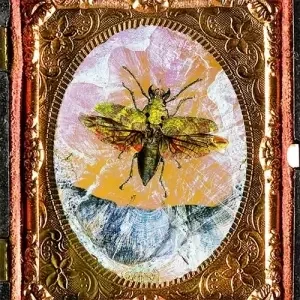 Phototropic Relicts - Gallery - Dana Montlack