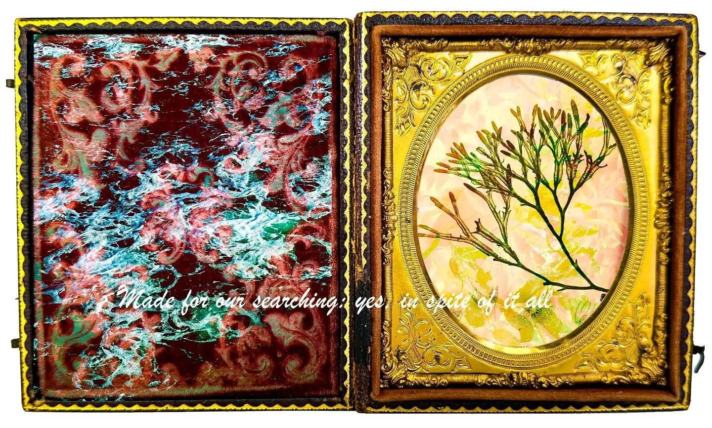 &quot;Made for our searching: yes, in spite of all...&quot;
A line from John Keats's poem Endymion

From the series Phototropic Relicts

To see more visit danamontlack.com 

#johnkeats #endymion