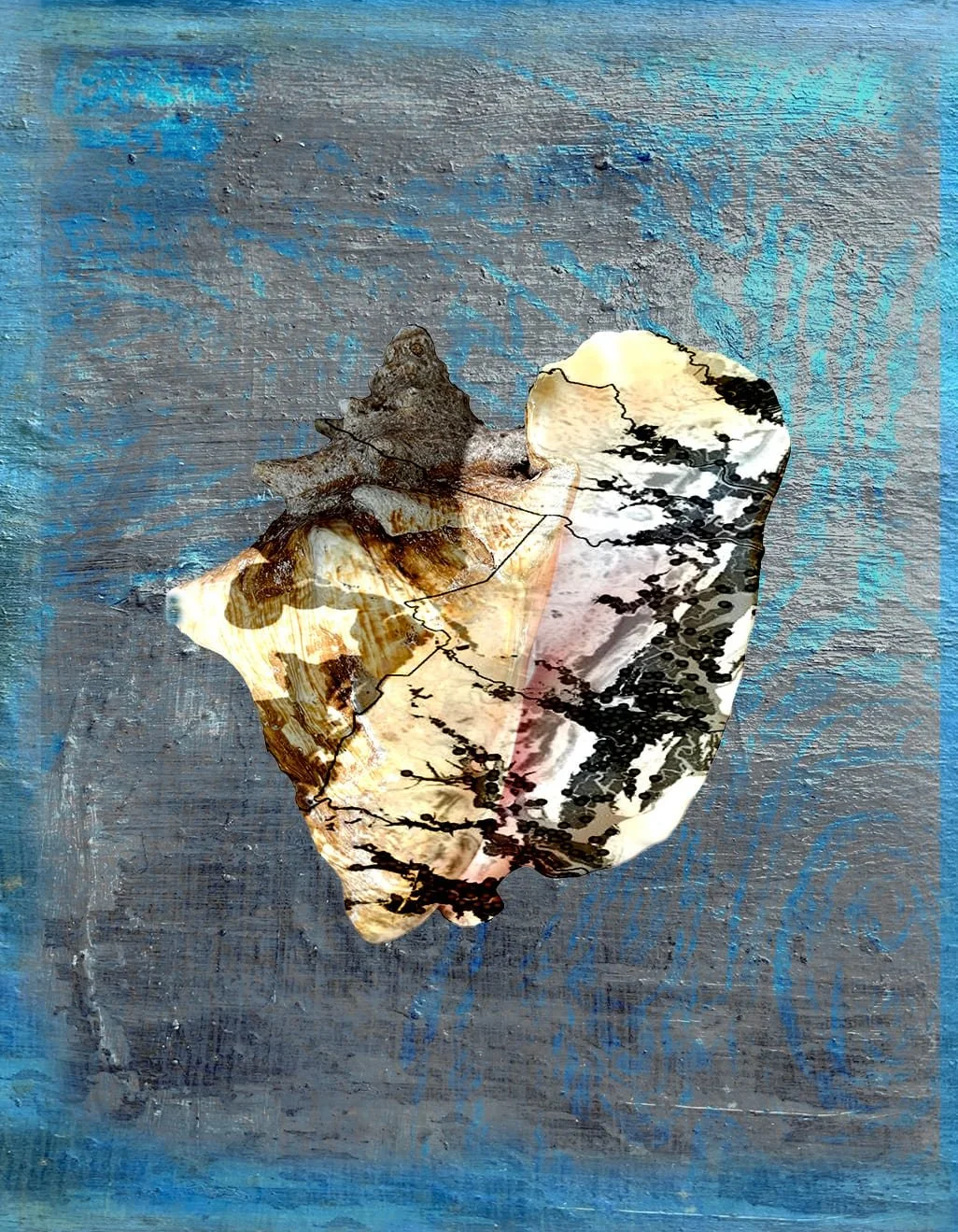 Intertidal #2