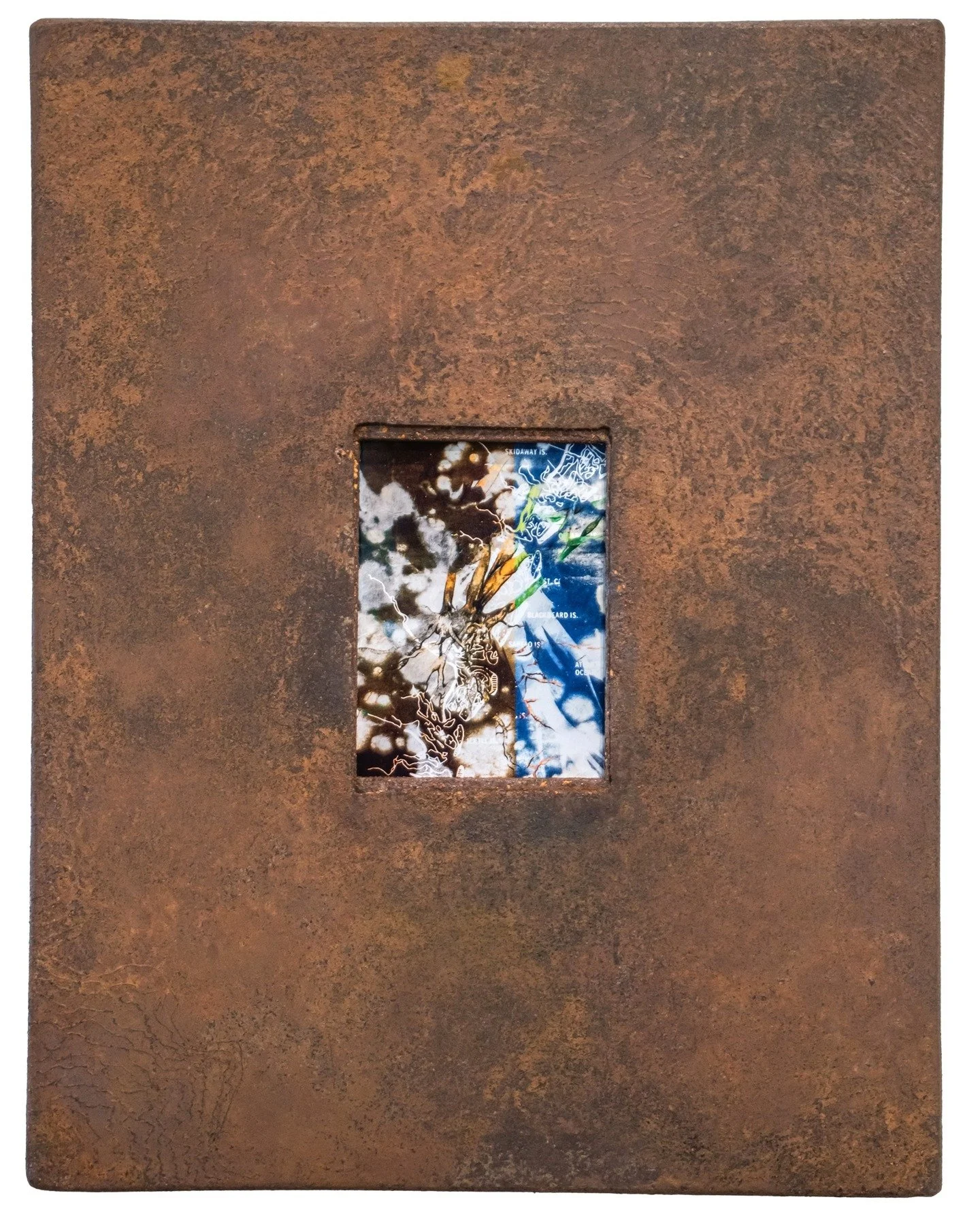 &ldquo;As an artist, I look through the surface of the natural world in order to see and understand its deeper mechanics. I aim my lens and magnify, extend, or juxtapose what is found into imaginative and exquisite forms.&rdquo; - Dana Montlack in
@l