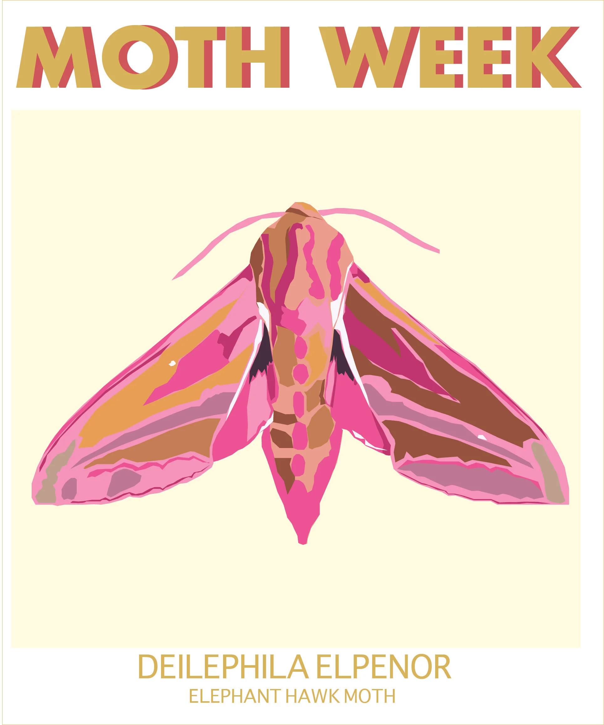 moth week Elephant .jpg