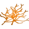 Plant4.png