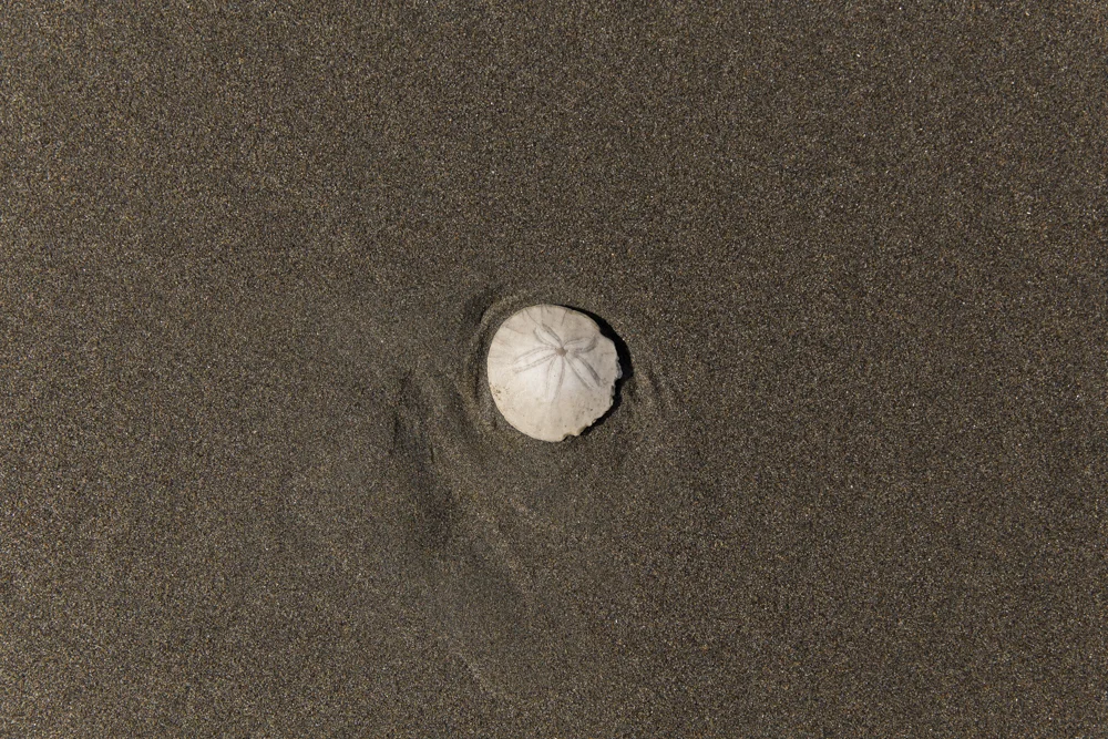IMG_8506.jpg