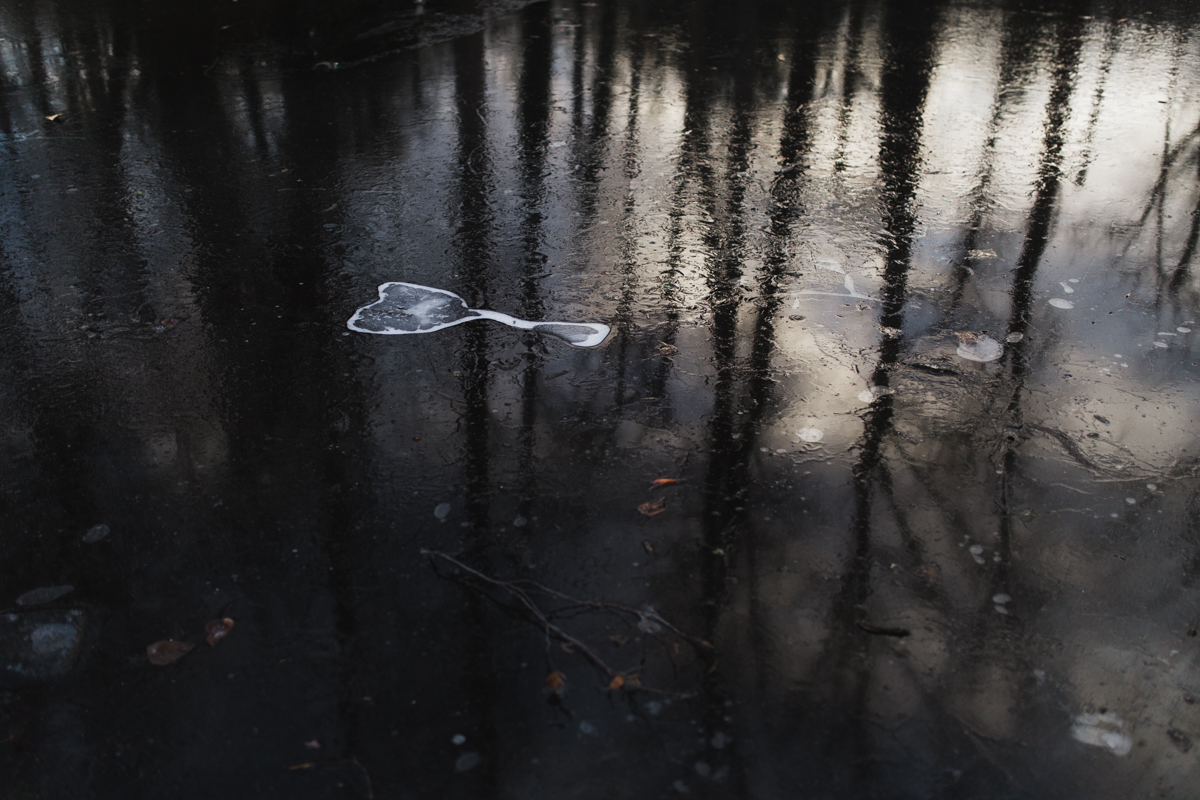 011 | 365
